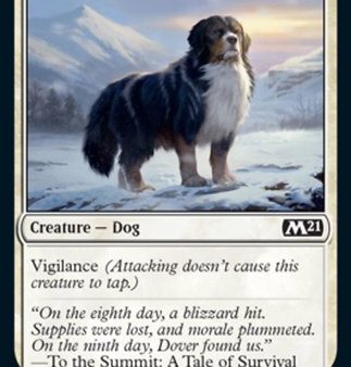 Alpine Watchdog [Core Set 2021] Fashion