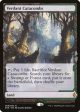 Verdant Catacombs [Zendikar Rising Expeditions] For Discount