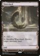 Wasteland [Zendikar Rising Expeditions] For Cheap