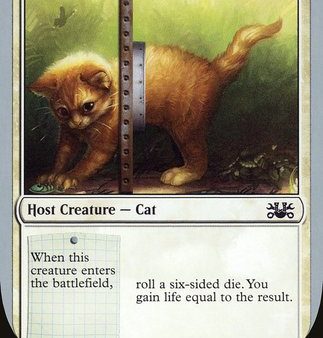 Adorable Kitten [Unsanctioned] Online now