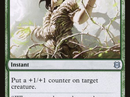 Vastwood Fortification    Vastwood Thicket [Zendikar Rising] Online now