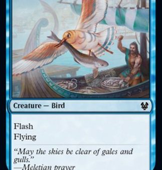 Vexing Gull [Theros Beyond Death] on Sale