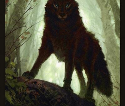 Wolf Double-sided Token [Challenger Decks 2020 Tokens] Online